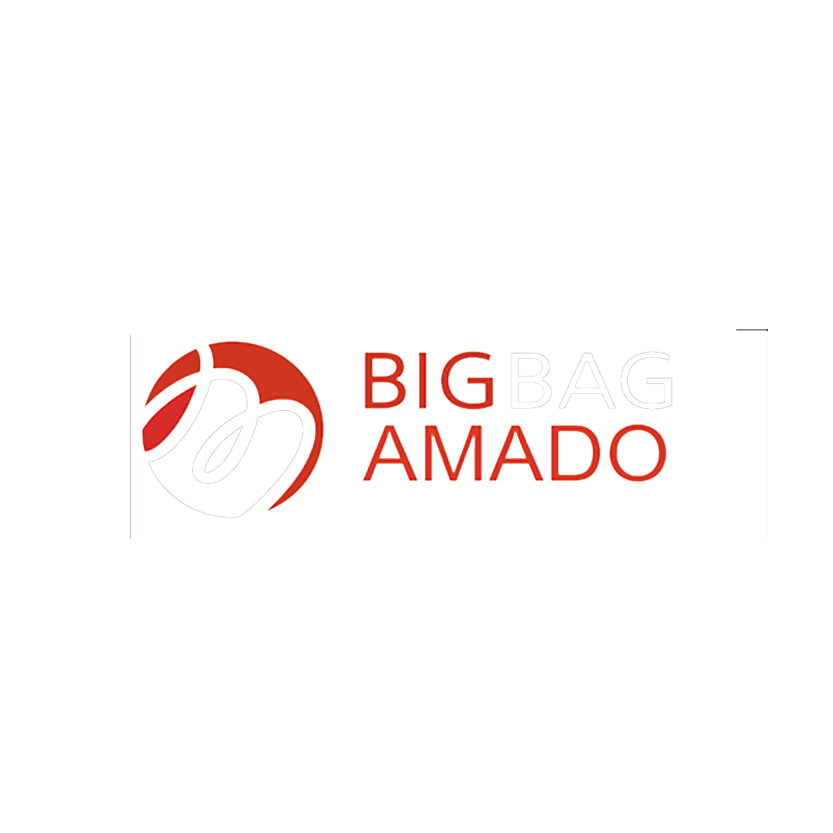 Big Bag logo1